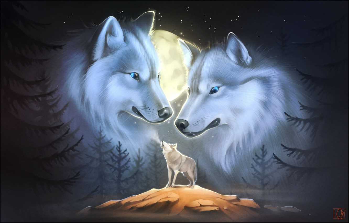 Красивый арт волка, картинки 16