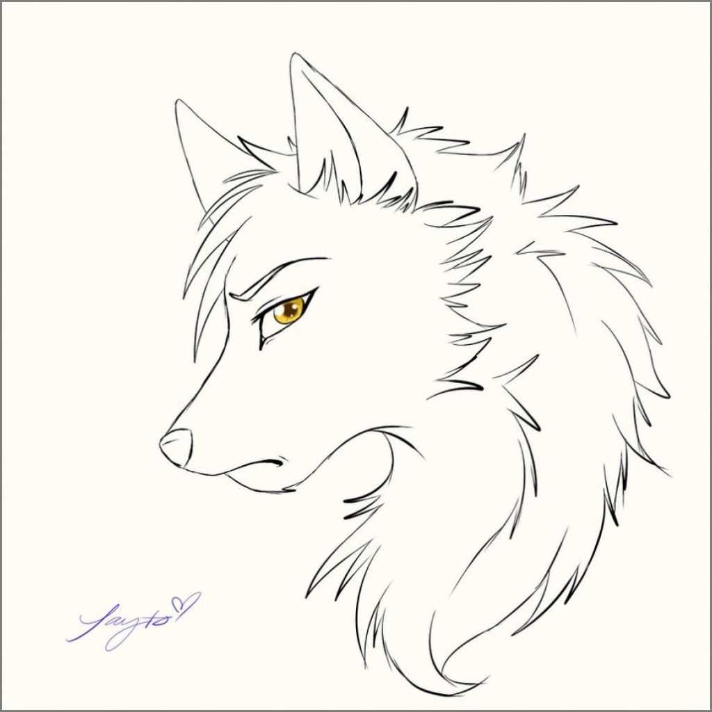 Красивый волк рисунок карандашом для срисовки 13