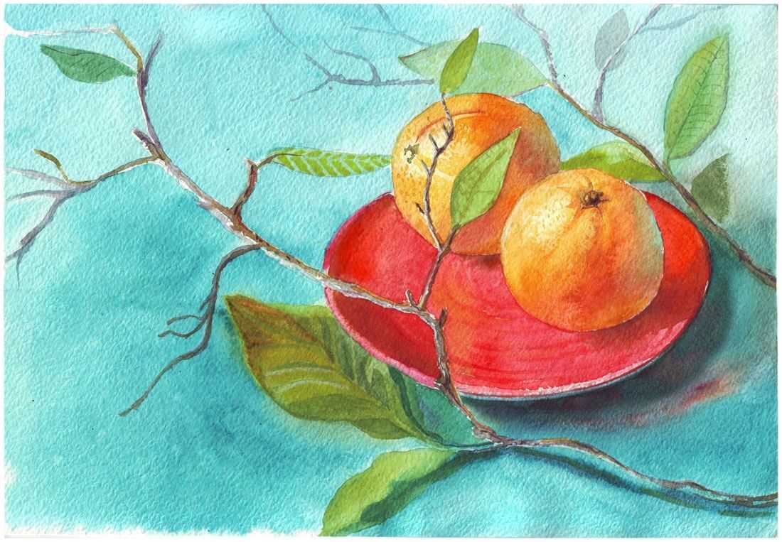 Красивый натюрморт рисунки фруктов 02