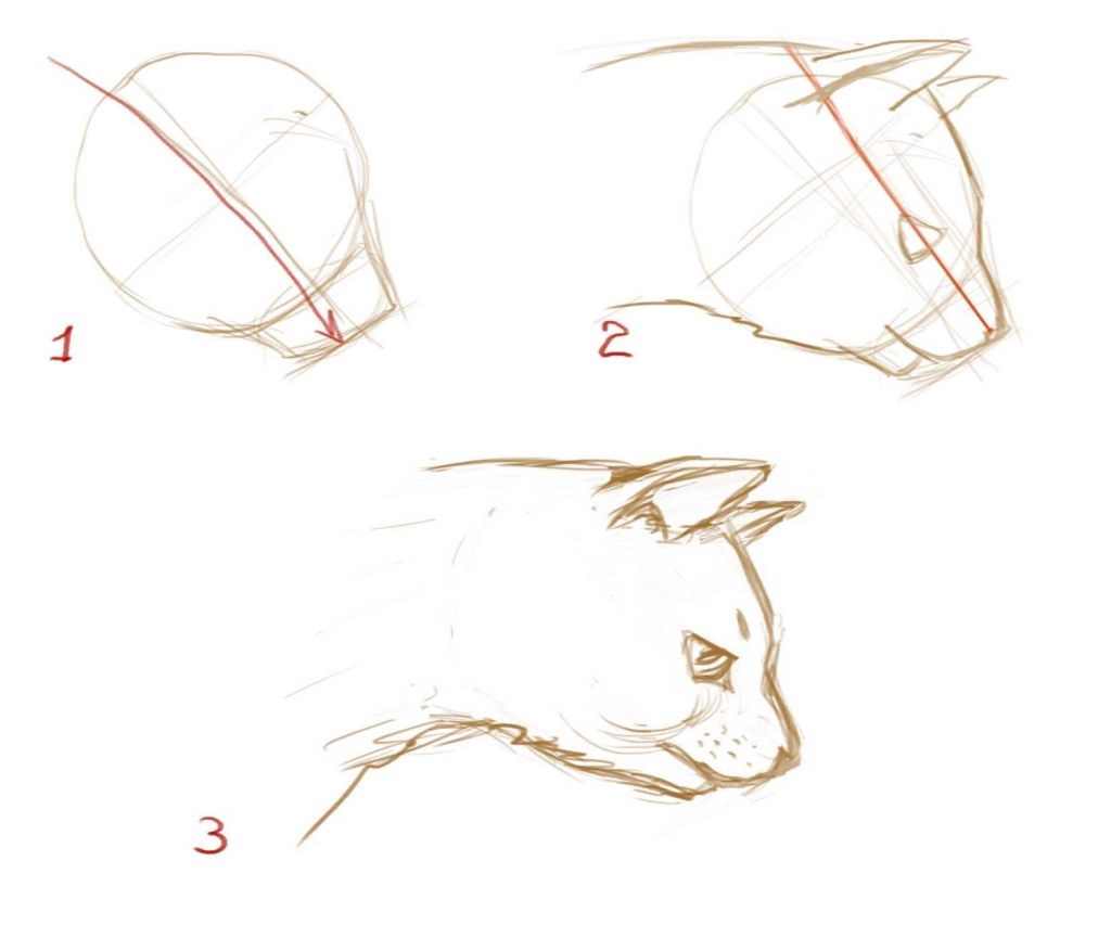 Морда кота рисунок простой для детей 04