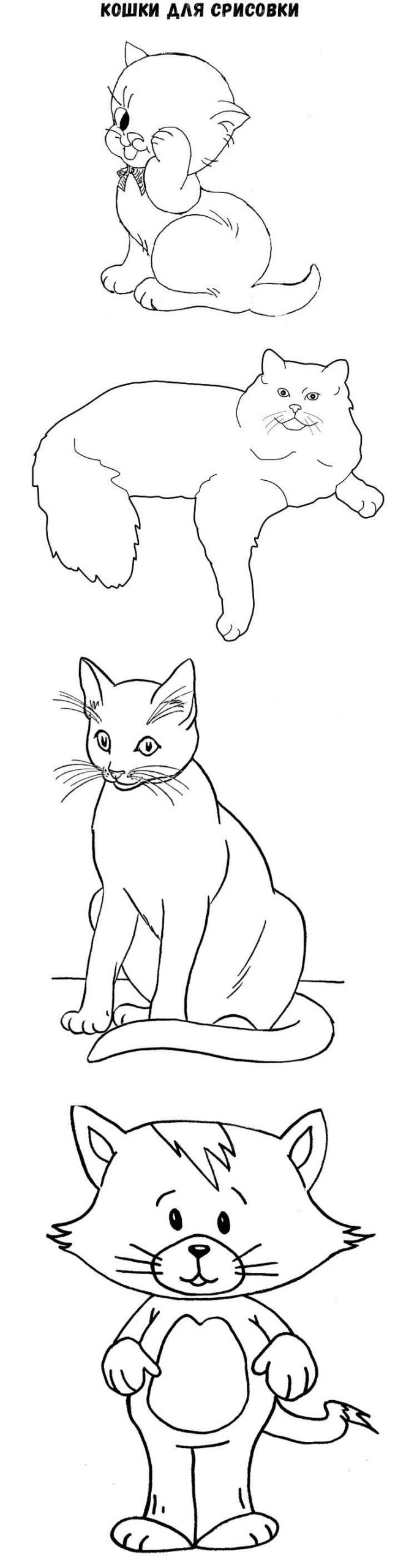 Кошки рисунки для срисовки для детей