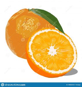 Рисунок Половинка апельсина для срисовки 20