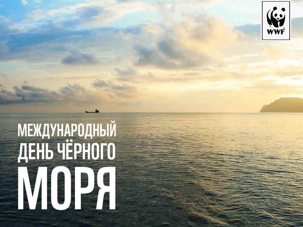 Картинка с международным днем черного моря (14)