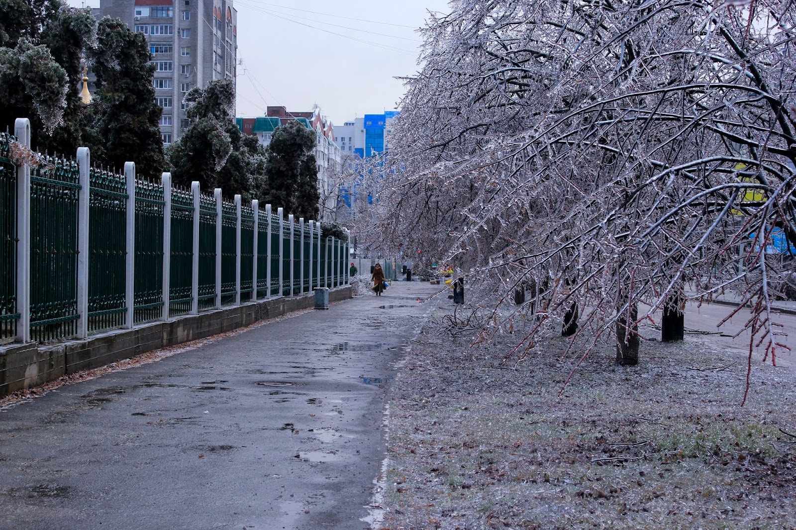 Погода в краснодаре днем