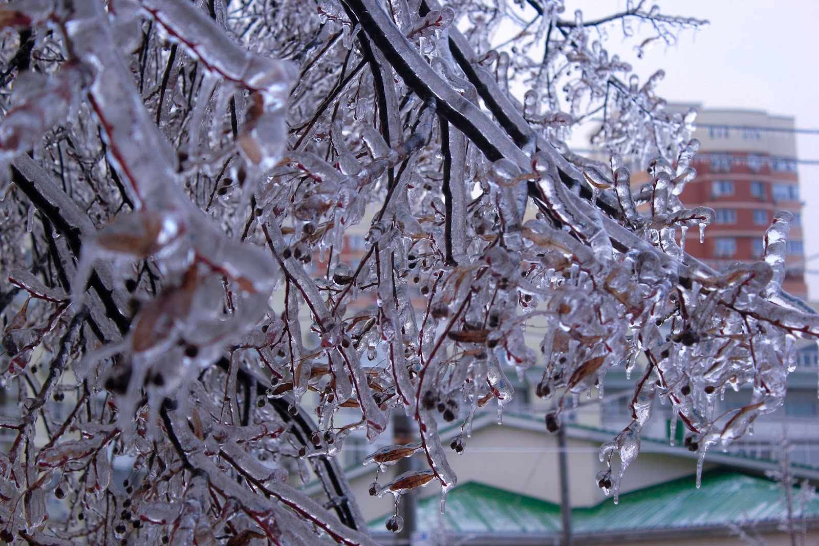 Красивый ледяной дождь в Краснодаре 14