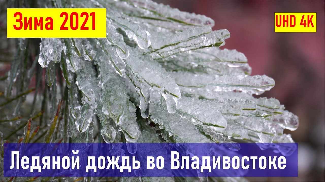 Красивый ледяной дождь во Владивостоке 8