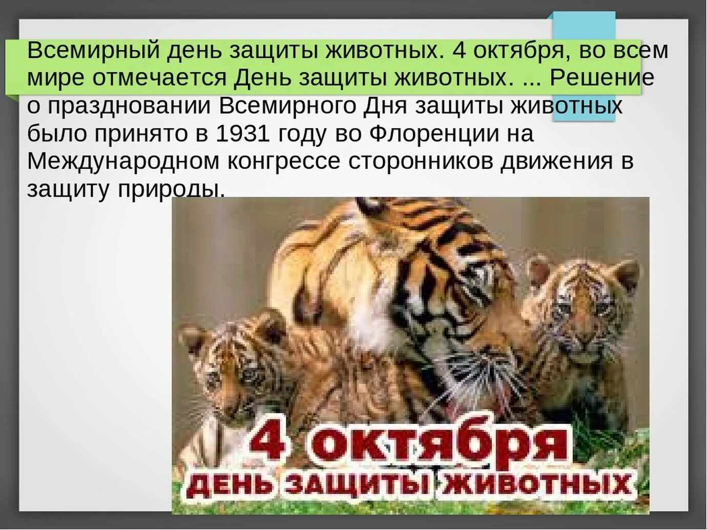 Всемирный день животных. Международный день защиты животных. 4 Октября Всемирный день защиты животных. День защиты животных презентация. Презентация на тему Всемирный день защиты животных.