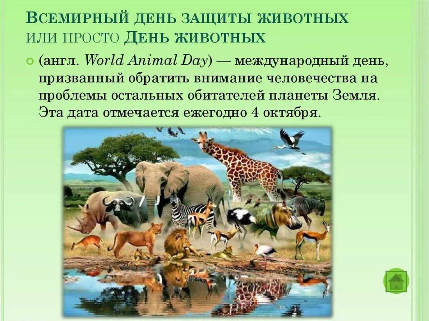 Картинки на Всемирный день животных 5 октября (9)