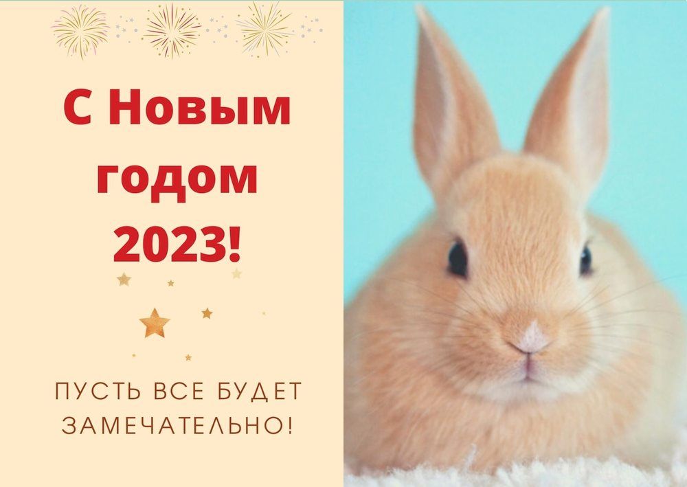 Картинки год кролика 2023 год