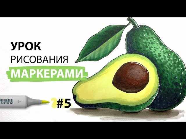 Авокадо рисунок маркерами