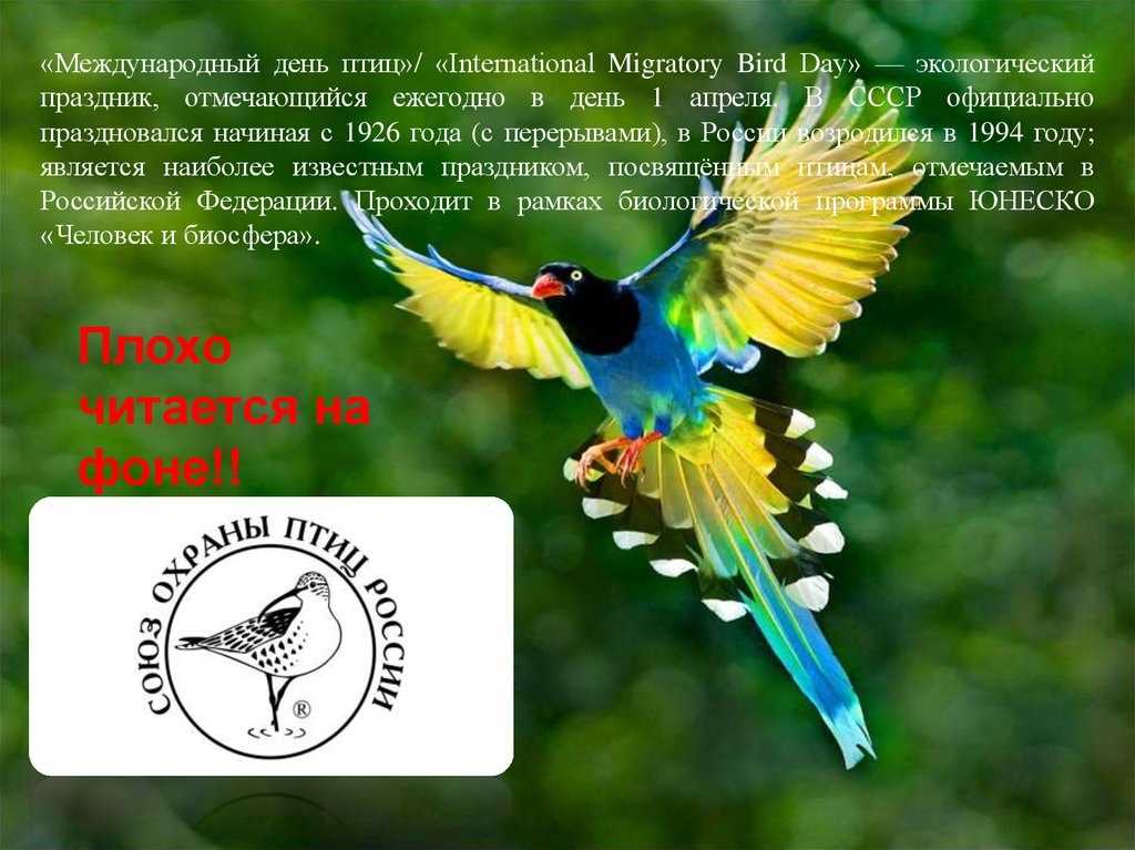 Национальный день птиц Защитите наших птиц 08