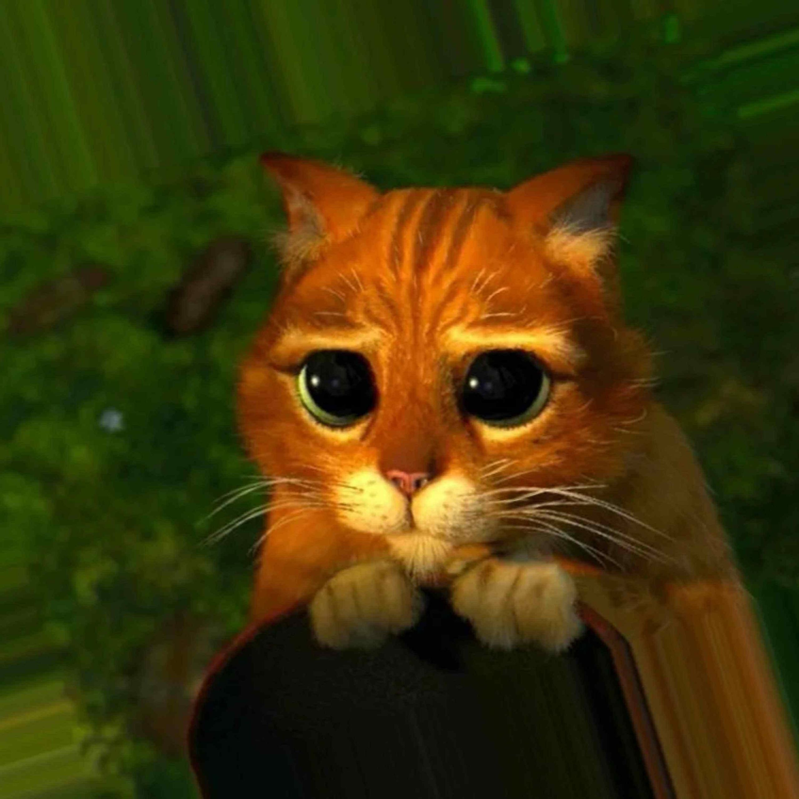 Кот в сапогах фото из мультфильма с глазками