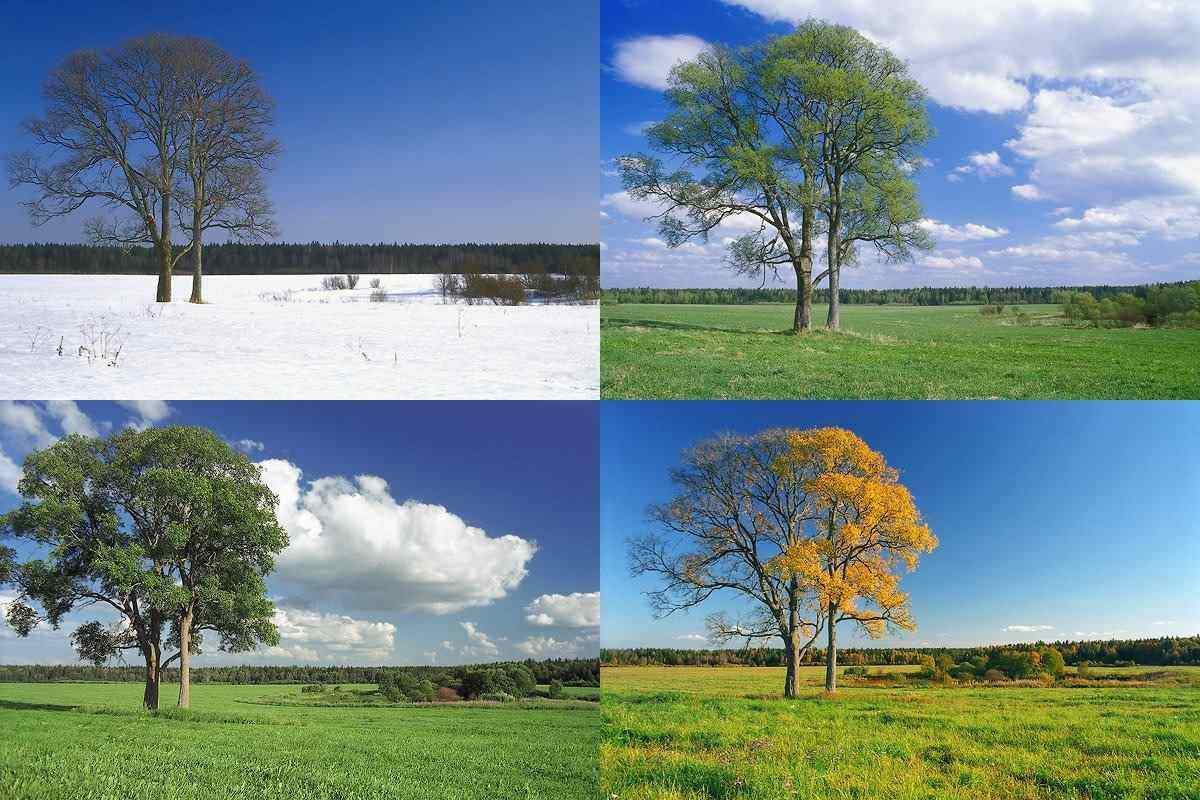 Фото природы разные времена года