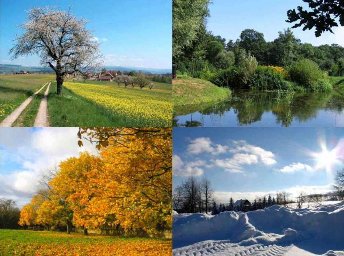 Seasons in russia. Времена года фото. Пейзаж по временам года. Пейзаж в четырёх времени года.