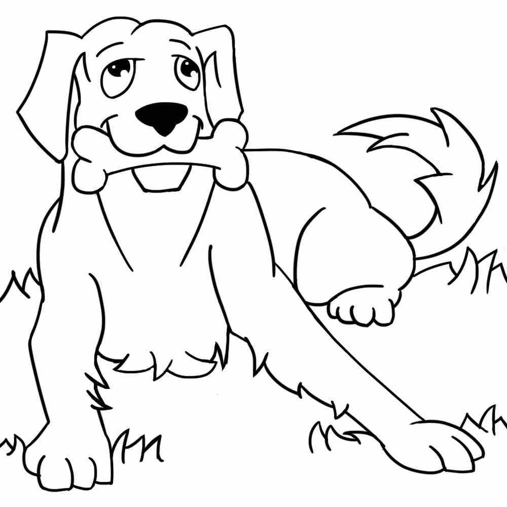 Собака рисунок карандашом легкий детский
