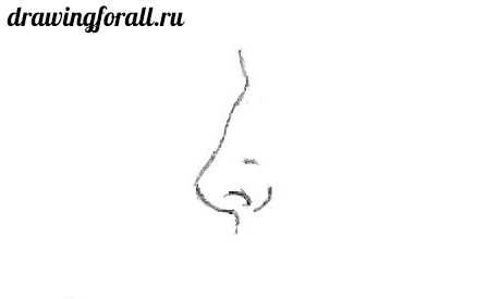 Картинки как нарисовать нос 3