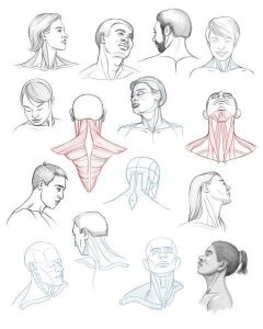 Картинки как нарисовать шею 12