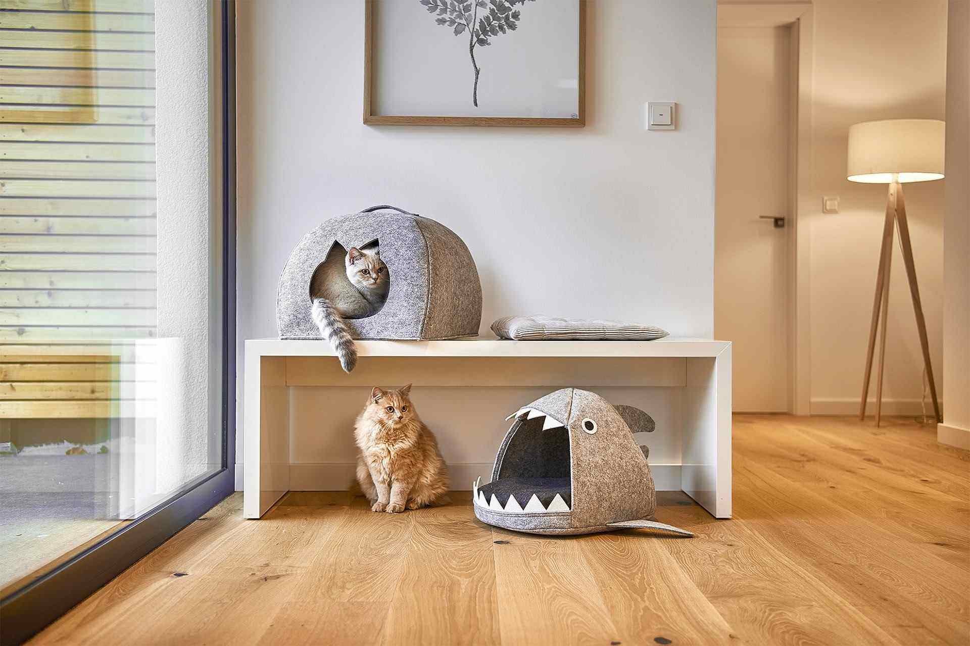 Кошки и коты в интерьере, фото 10