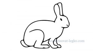 Рисунки кролика простым карандаш 8