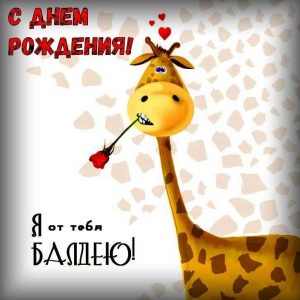 Интересные фото для открыток 013