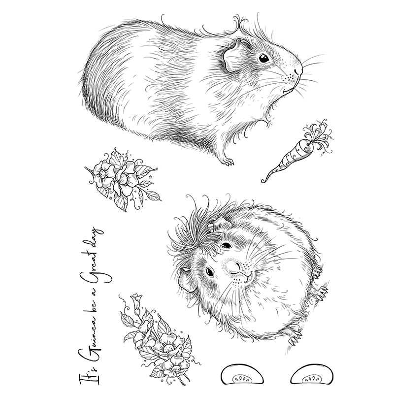 Рисунки морских свинок для открыток 009
