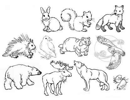 Рисунки с животными для детей 003