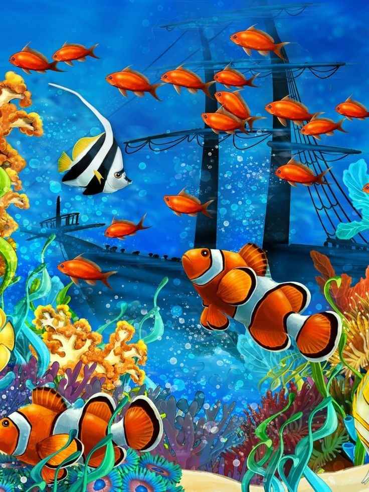 Рисунки с рыбами и морскими животными океана 012