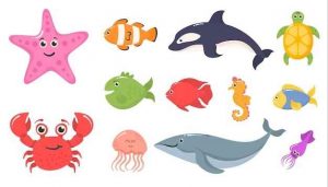 Рисунки с рыбами и морскими животными океана 017