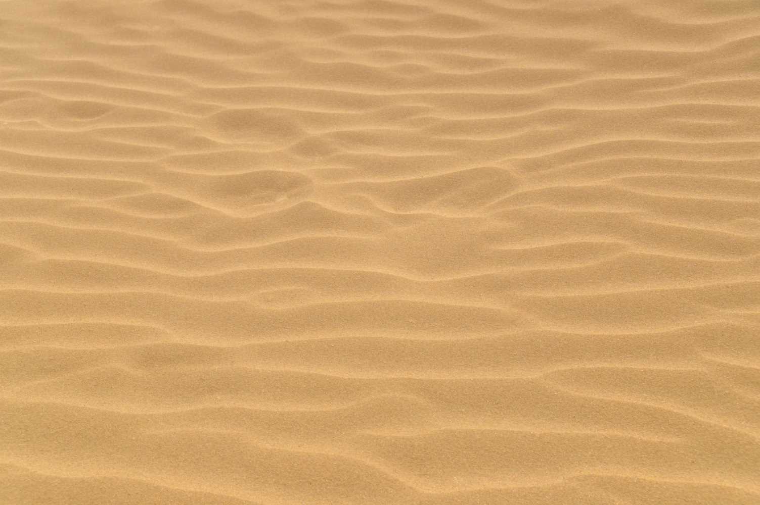 Фон цвета песка 006
