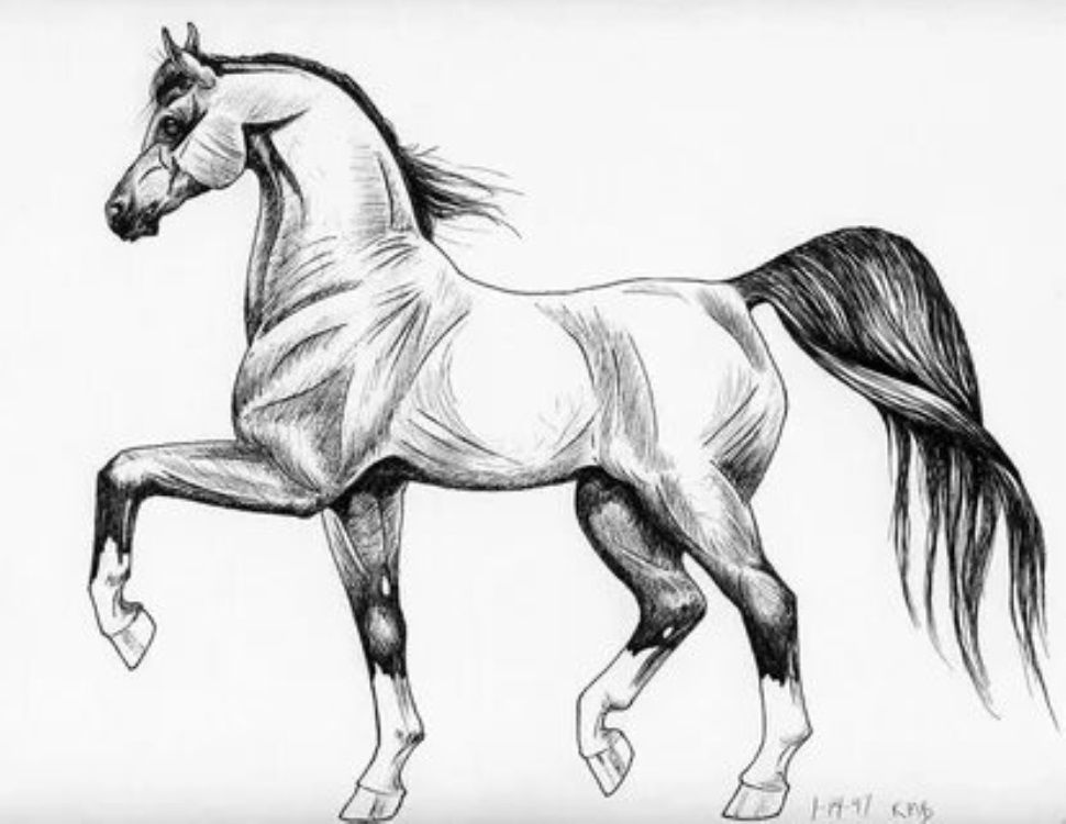 Рисунок коня