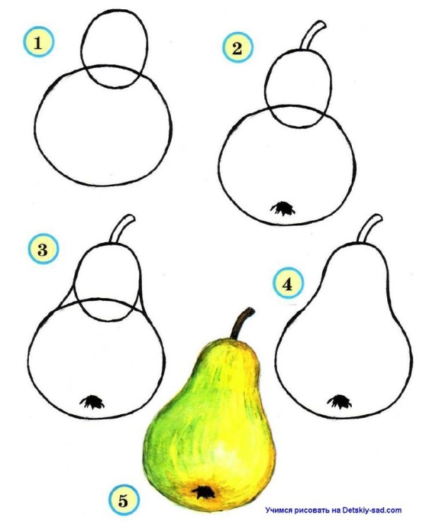 Вкусные рисунки фруктов для скетчбука 004