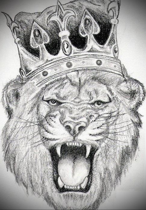Королевские эскизы льва с короной 003