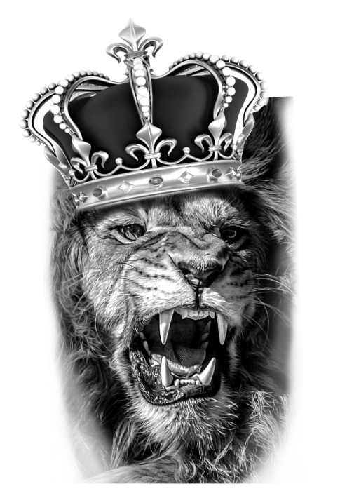Королевские эскизы льва с короной 019