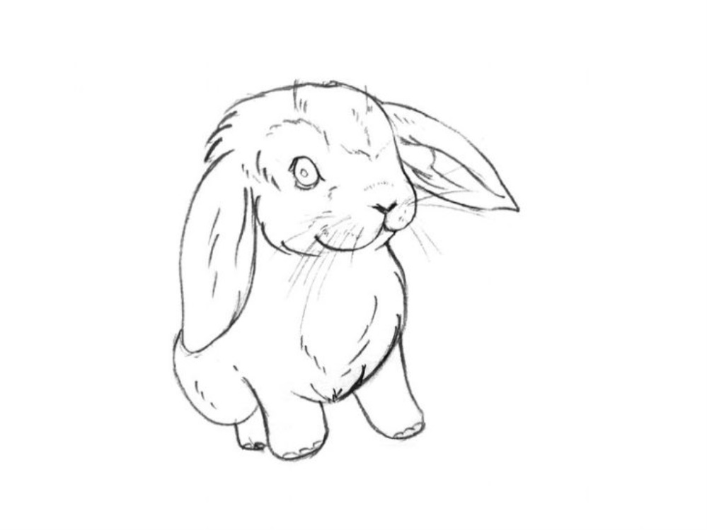 Красивые Рисунки кролика для срисовки, подборка картинок 003