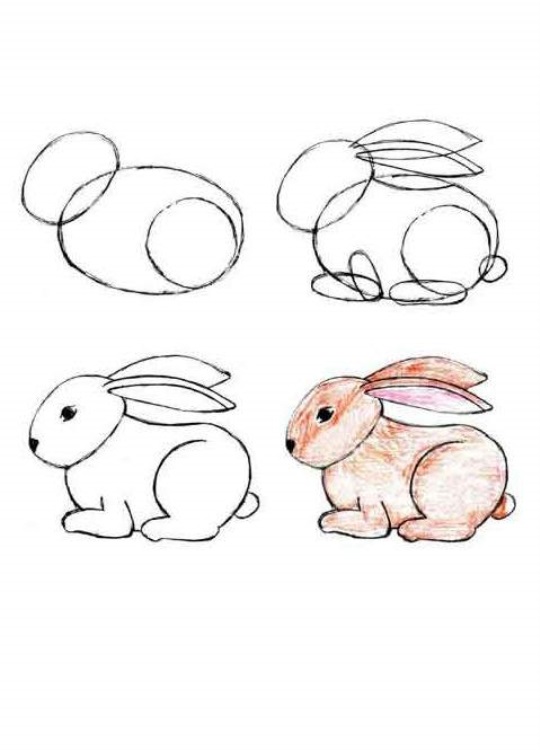 Красивые Рисунки кролика для срисовки, подборка картинок 013