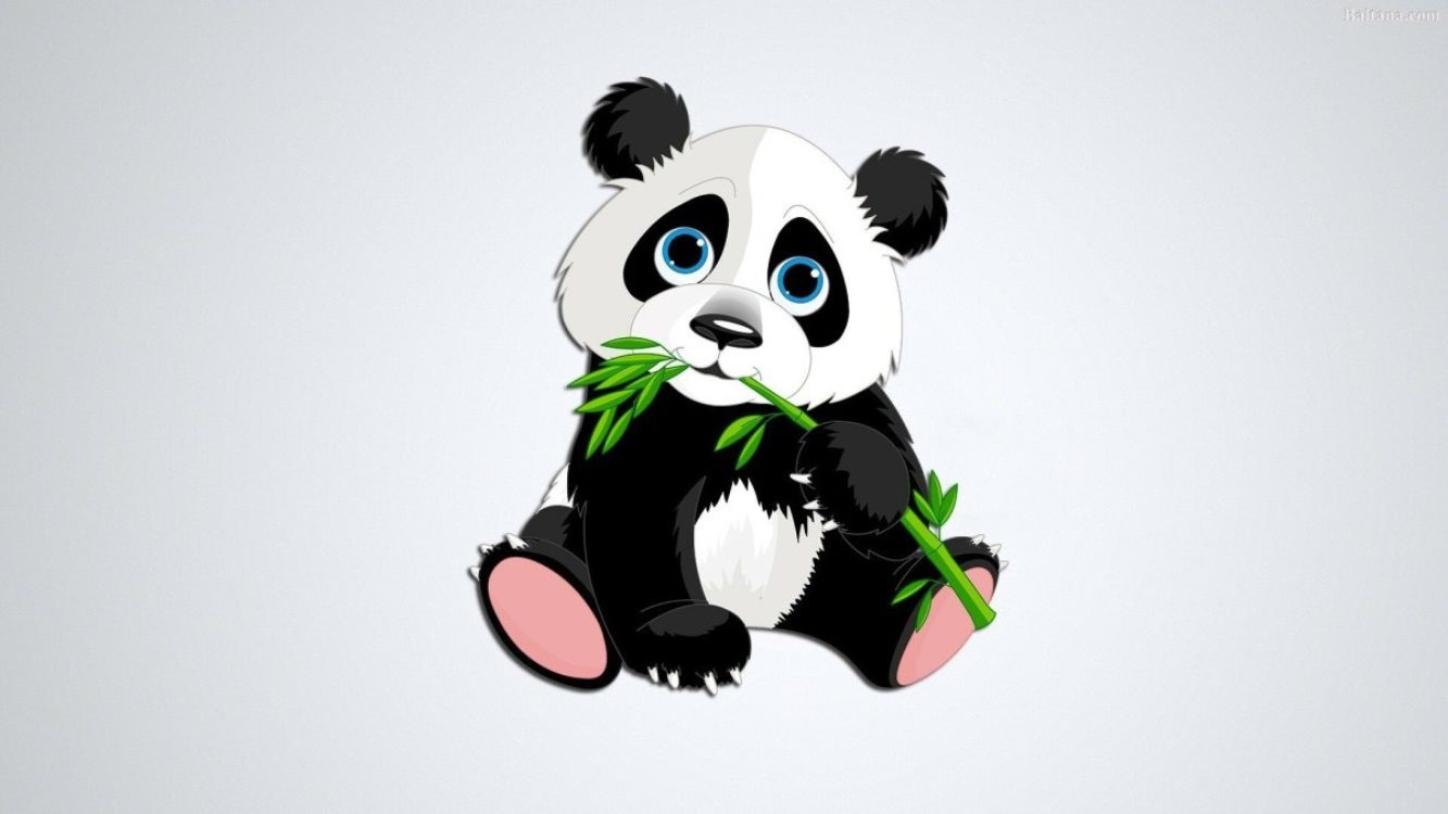 Красивые и милые рисунки панды для срисовки, подборка 014