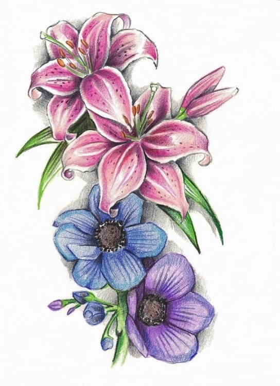 Красивые рисунки цветов для срисовки 013