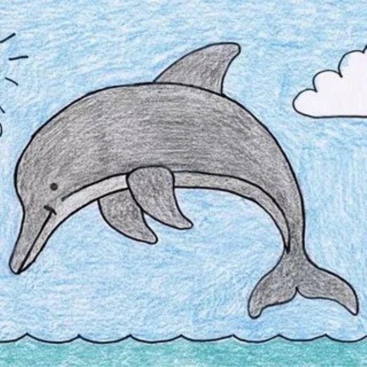 Красочные Рисунки дельфинов для срисовки, подборка 019