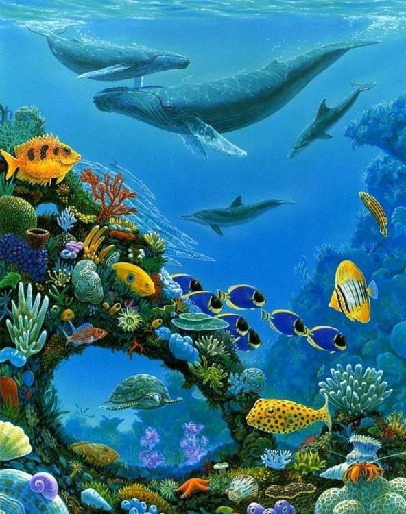 Красочные рисунки подводного мира для срисовки 010
