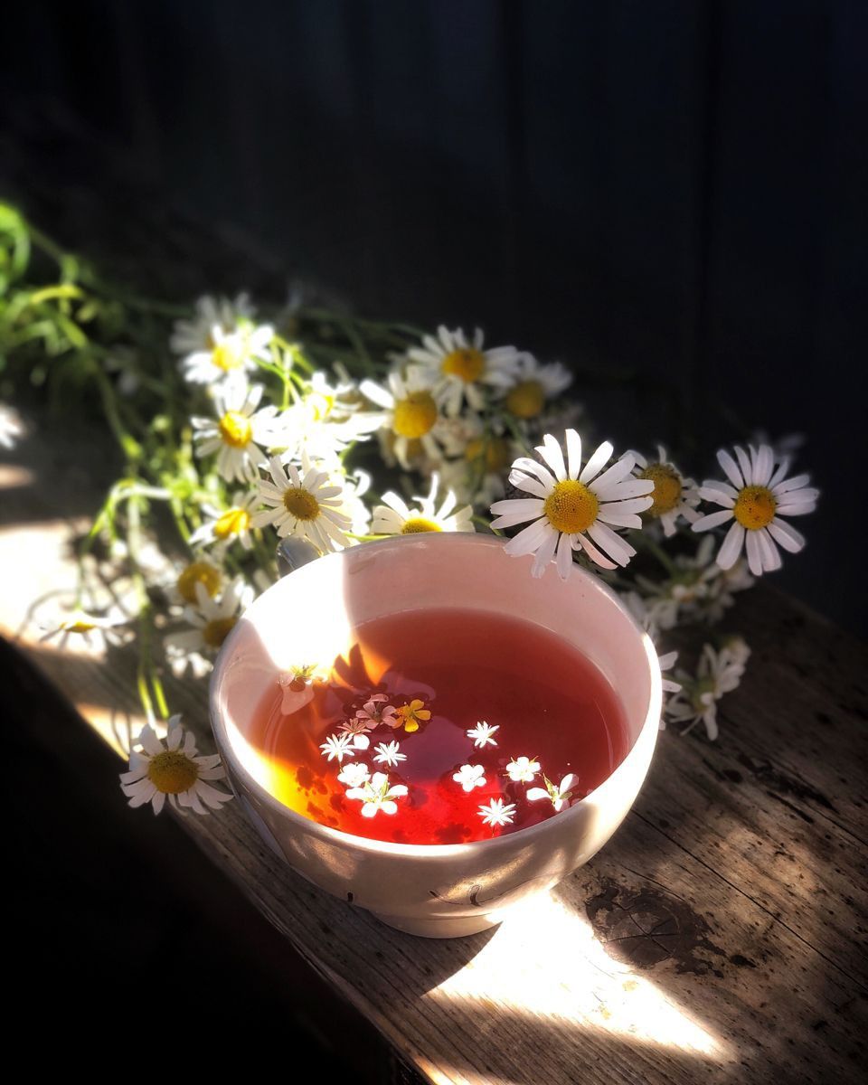 Напиток с нежными цветами в уютном кафе (7)