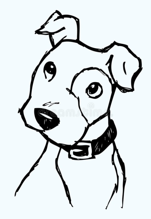 Очаровательные эскизы собаки, топ рисунок 018