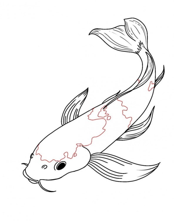 Подводные рисунки рыбы для срисовки, подборка 015