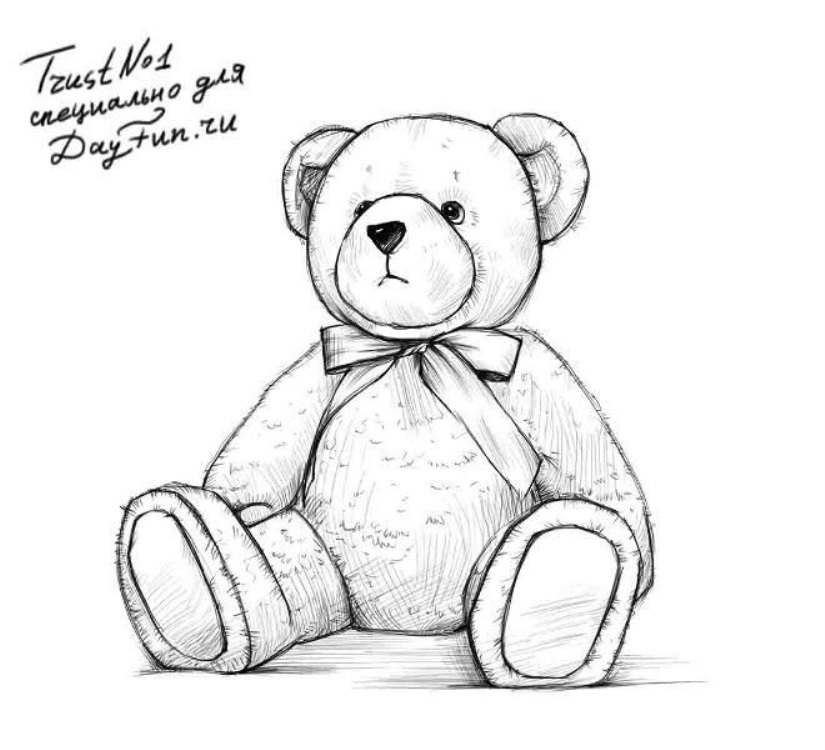 Приятные рисунки медведя для срисовки 009