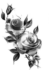 Романтичные эскизы розы, подборка 024