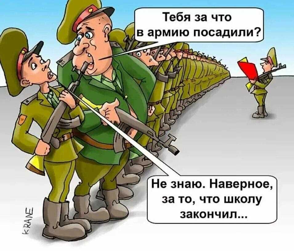 Армейские приколы. Армия приколы. Карикатуры про армию. Шутки про армию.