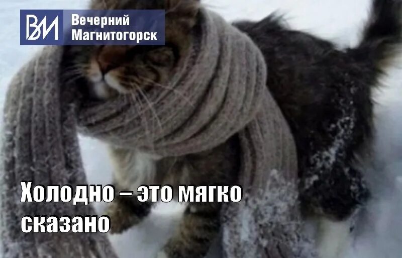 Картинки холодно очень холодно