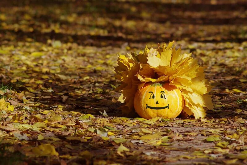 Осень позитивные картинки. Осеннее настроение. Осенний позитив. Осенняя хандра. Веселая осень.