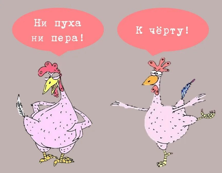 Удачи на экзамене ни пуха ни пера картинки