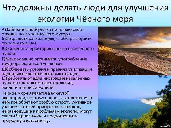 Сохранение черного моря. Экология черного моря. Экологические проблемы Черноморского побережья. Экологические проблемы на побережье черного моря. Экологические проблемы субтропиков.