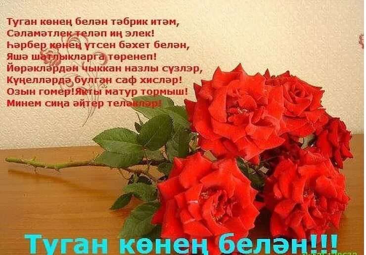 Поздравления с юбилеем сестре на татарском языке 15